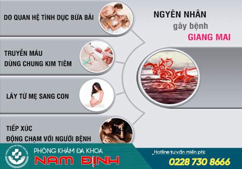 nguyên nhân bệnh giang mai